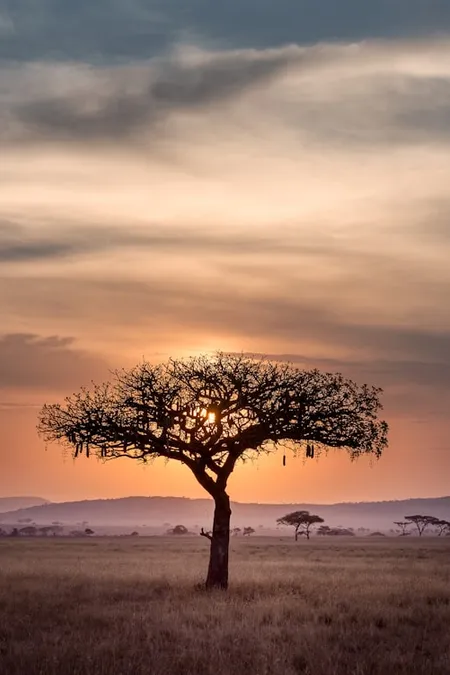 TANZANIA